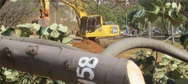 Corte de árvores no Parque da Cidade para a constr