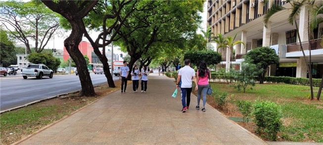 Raridade no país: um bom caminho para pedestres em